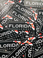 FLC Flag Sticker